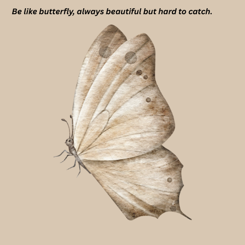 Be Like Butterfly 🦋
